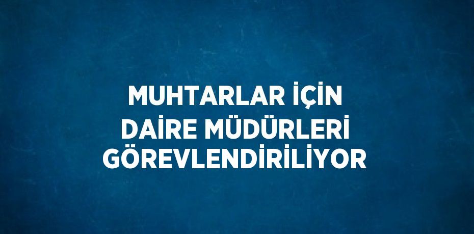 MUHTARLAR İÇİN DAİRE MÜDÜRLERİ GÖREVLENDİRİLİYOR