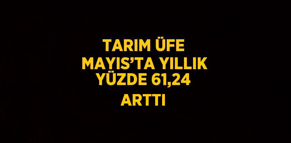 TARIM ÜFE MAYIS’TA YILLIK YÜZDE 61,24 ARTTI