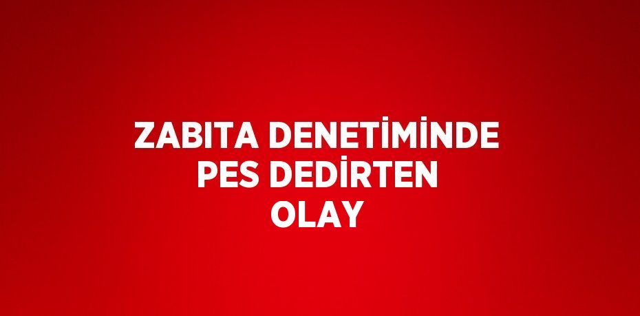 ZABITA DENETİMİNDE PES DEDİRTEN OLAY