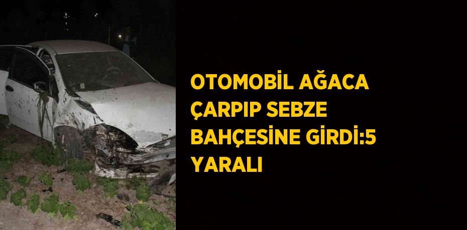 OTOMOBİL AĞACA ÇARPIP SEBZE BAHÇESİNE GİRDİ:5 YARALI