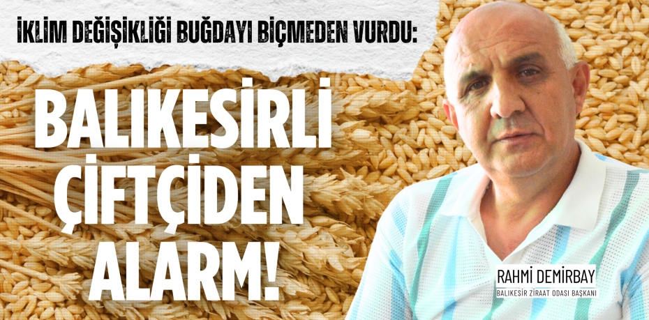İklim değişikliği buğdayı biçmeden vurdu:  BALIKESİRLİ ÇİFTÇİDEN ALARM!