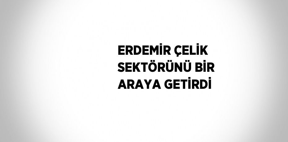 ERDEMİR ÇELİK SEKTÖRÜNÜ BİR ARAYA GETİRDİ
