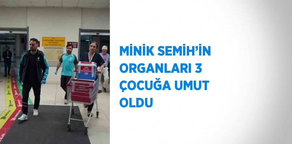 MİNİK SEMİH’İN ORGANLARI 3 ÇOCUĞA UMUT OLDU
