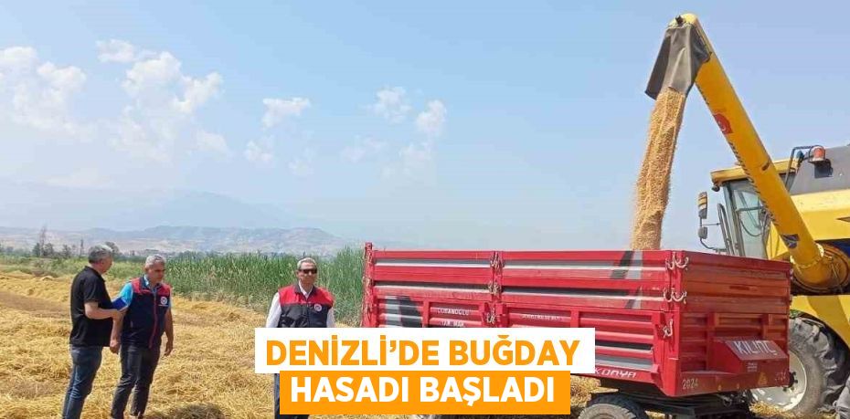 DENİZLİ’DE BUĞDAY HASADI BAŞLADI