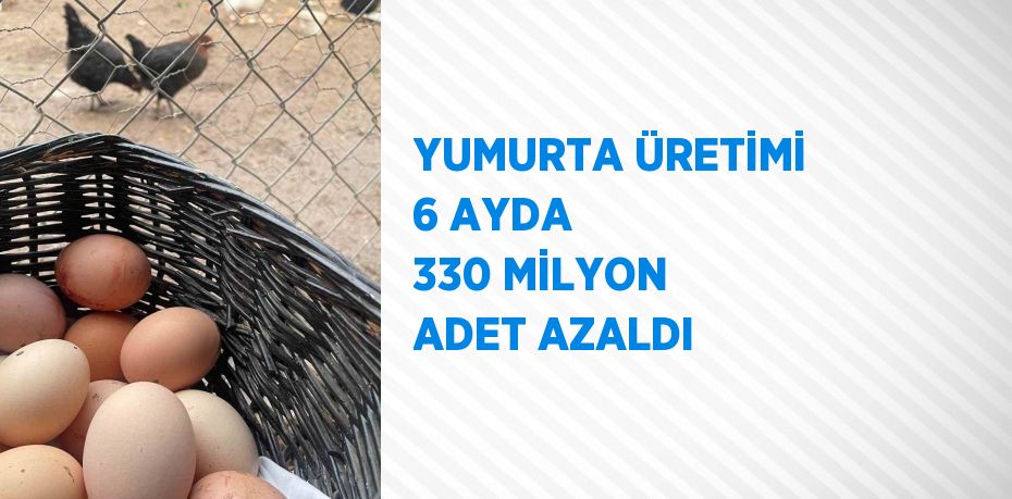 YUMURTA ÜRETİMİ 6 AYDA 330 MİLYON ADET AZALDI
