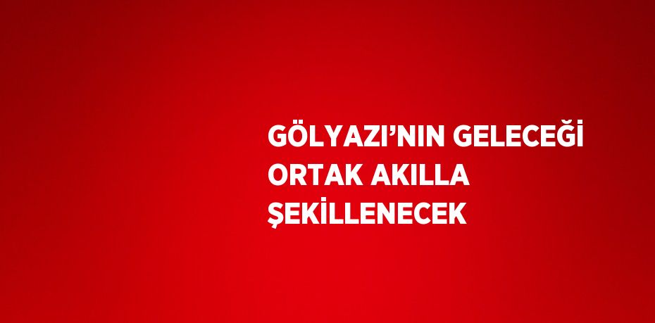 GÖLYAZI’NIN GELECEĞİ ORTAK AKILLA ŞEKİLLENECEK