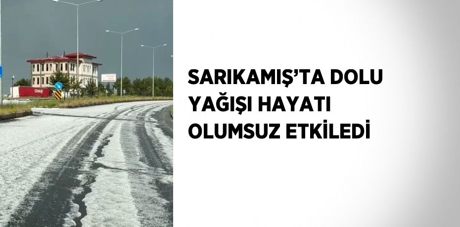 SARIKAMIŞ’TA DOLU YAĞIŞI HAYATI OLUMSUZ ETKİLEDİ