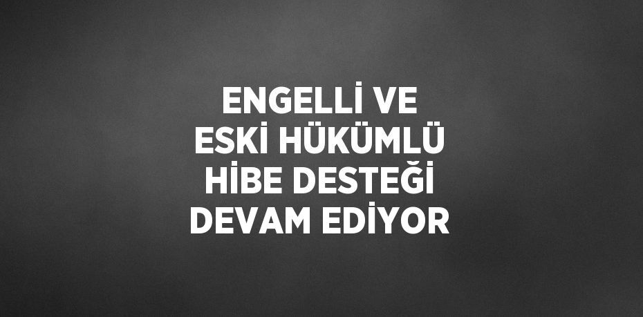 ENGELLİ VE ESKİ HÜKÜMLÜ HİBE DESTEĞİ DEVAM EDİYOR