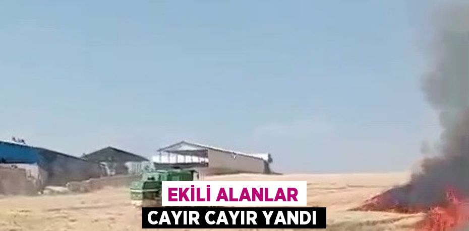 EKİLİ ALANLAR CAYIR CAYIR YANDI