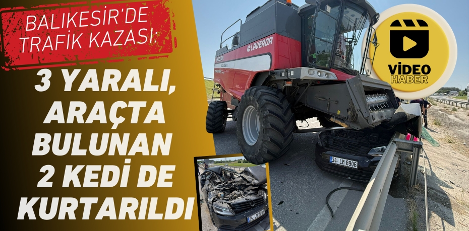 Balıkesir’de Trafik Kazası: 3 Yaralı, Araçta Bulunan 2 Kedi de Kurtarıldı