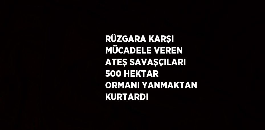 RÜZGARA KARŞI MÜCADELE VEREN ATEŞ SAVAŞÇILARI 500 HEKTAR ORMANI YANMAKTAN KURTARDI