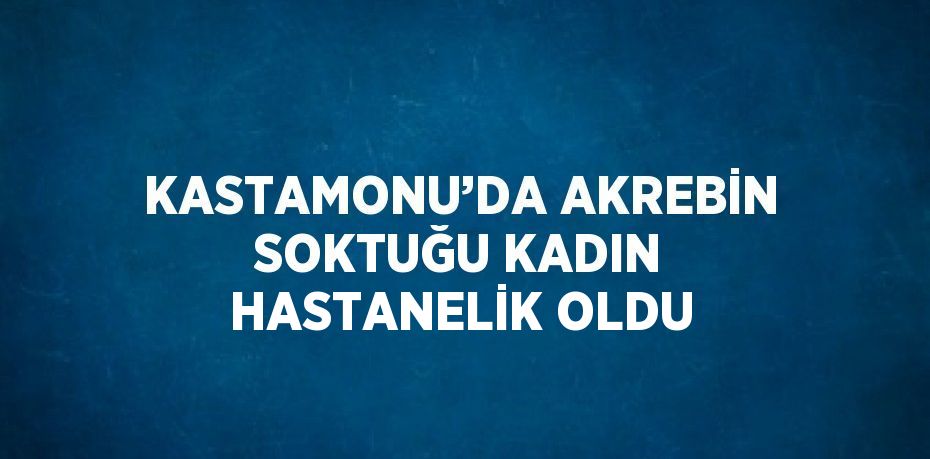 KASTAMONU’DA AKREBİN SOKTUĞU KADIN HASTANELİK OLDU