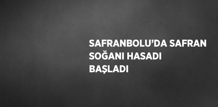 SAFRANBOLU’DA SAFRAN SOĞANI HASADI BAŞLADI
