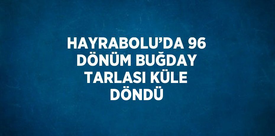 HAYRABOLU’DA 96 DÖNÜM BUĞDAY TARLASI KÜLE DÖNDÜ