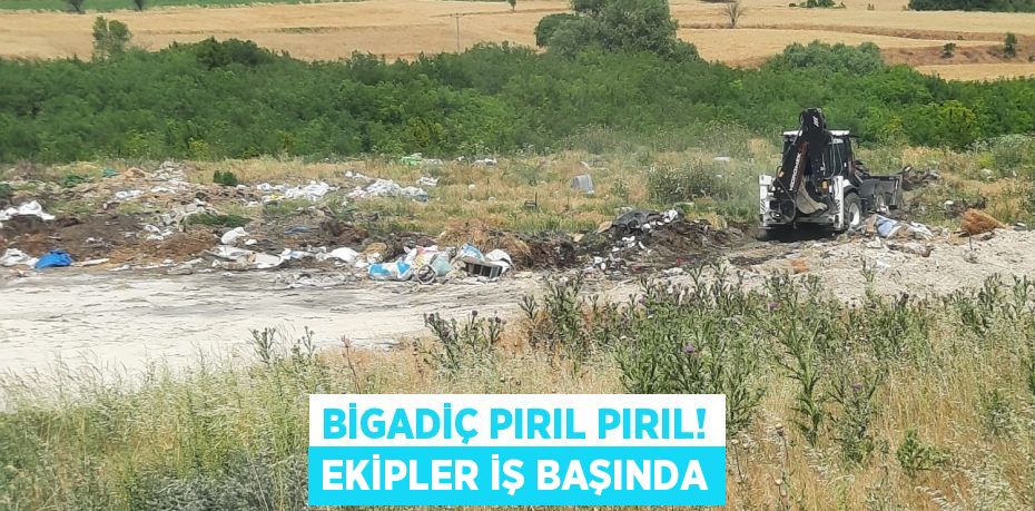 Bigadiç Pırıl Pırıl! Ekipler İş Başında