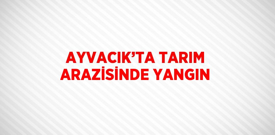AYVACIK’TA TARIM ARAZİSİNDE YANGIN