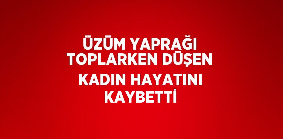 ÜZÜM YAPRAĞI TOPLARKEN DÜŞEN KADIN HAYATINI KAYBETTİ