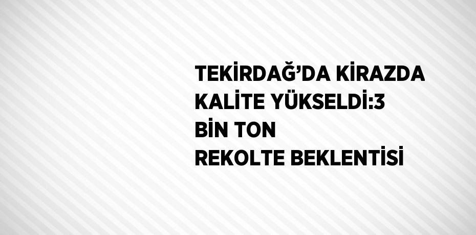 TEKİRDAĞ’DA KİRAZDA KALİTE YÜKSELDİ:3 BİN TON REKOLTE BEKLENTİSİ