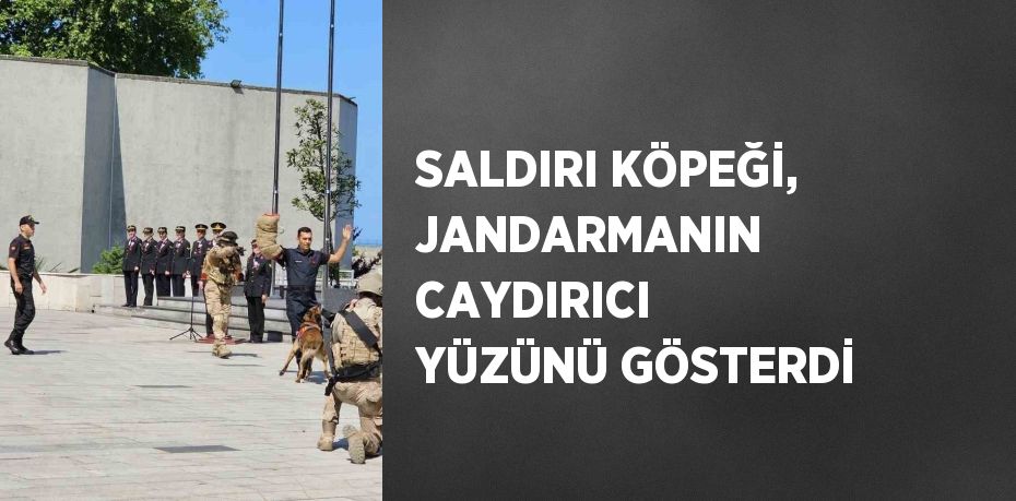 SALDIRI KÖPEĞİ, JANDARMANIN CAYDIRICI YÜZÜNÜ GÖSTERDİ