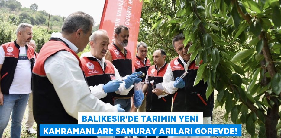 Balıkesir'de Tarımın Yeni Kahramanları: Samuray Arıları Görevde!