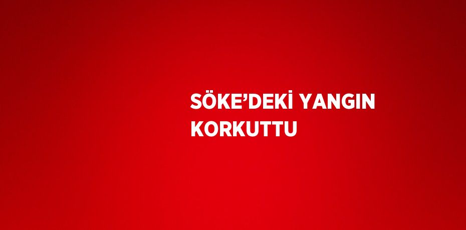 SÖKE’DEKİ YANGIN KORKUTTU