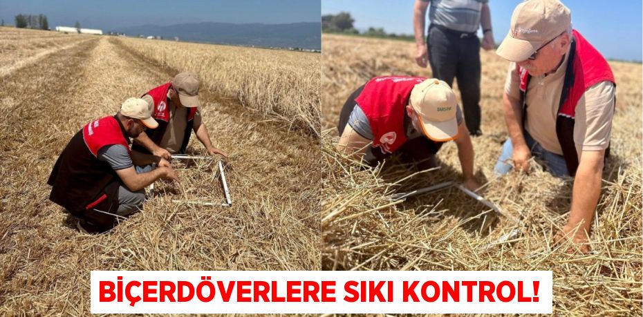 Biçerdöverlere Sıkı Kontrol!
