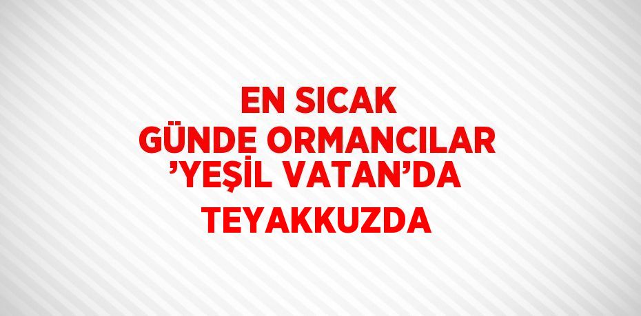 EN SICAK GÜNDE ORMANCILAR ’YEŞİL VATAN’DA TEYAKKUZDA