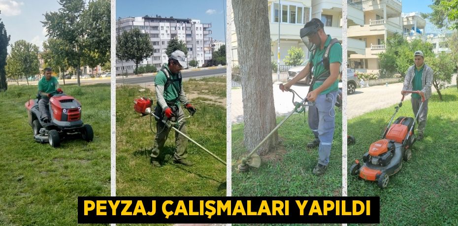 PEYZAJ ÇALIŞMALARI YAPILDI