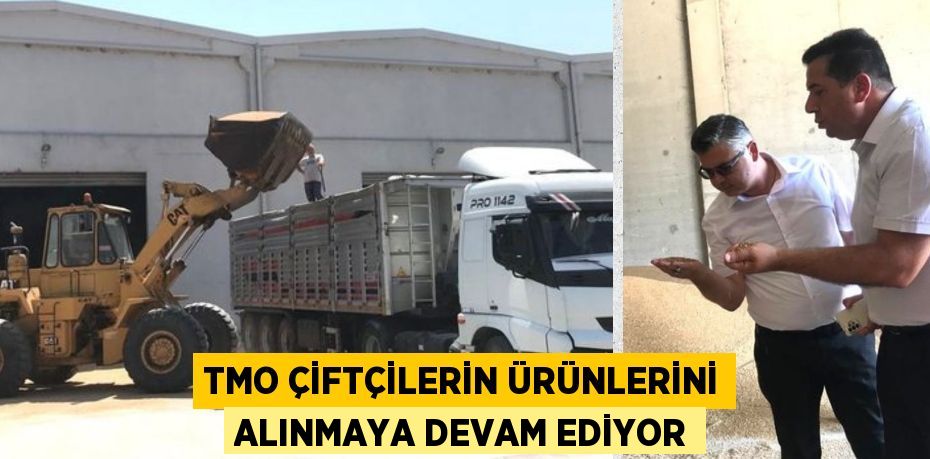 TMO ÇİFTÇİLERİN ÜRÜNLERİNİ ALINMAYA DEVAM EDİYOR