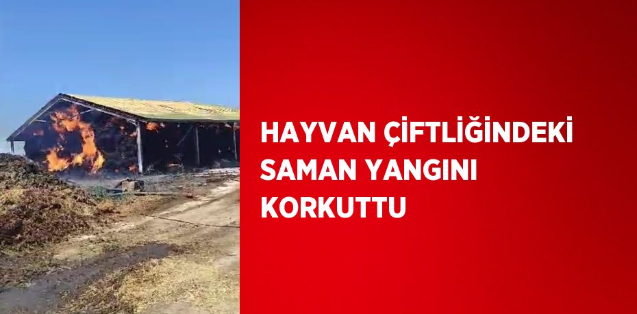 HAYVAN ÇİFTLİĞİNDEKİ SAMAN YANGINI KORKUTTU