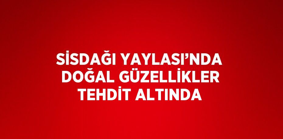 SİSDAĞI YAYLASI’NDA DOĞAL GÜZELLİKLER TEHDİT ALTINDA