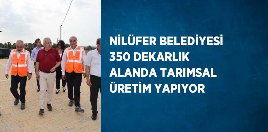 NİLÜFER BELEDİYESİ 350 DEKARLIK ALANDA TARIMSAL ÜRETİM YAPIYOR