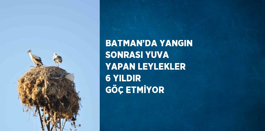 BATMAN’DA YANGIN SONRASI YUVA YAPAN LEYLEKLER 6 YILDIR GÖÇ ETMİYOR