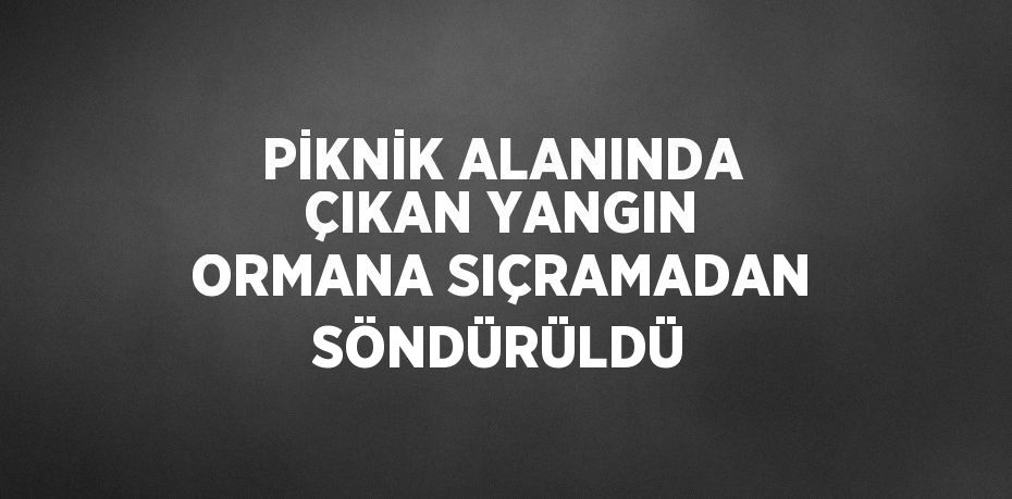 PİKNİK ALANINDA ÇIKAN YANGIN ORMANA SIÇRAMADAN SÖNDÜRÜLDÜ