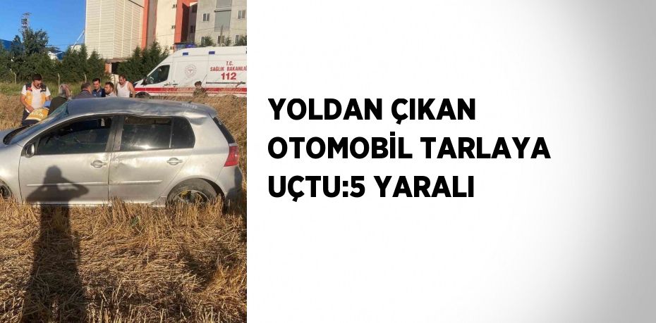 YOLDAN ÇIKAN OTOMOBİL TARLAYA UÇTU:5 YARALI