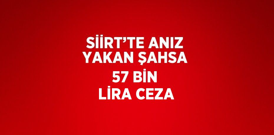 SİİRT’TE ANIZ YAKAN ŞAHSA 57 BİN LİRA CEZA