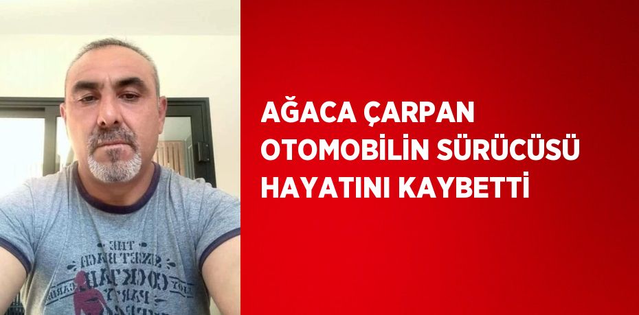 AĞACA ÇARPAN OTOMOBİLİN SÜRÜCÜSÜ HAYATINI KAYBETTİ