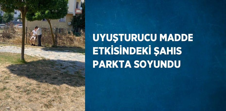 UYUŞTURUCU MADDE ETKİSİNDEKİ ŞAHIS PARKTA SOYUNDU