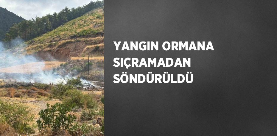 YANGIN ORMANA SIÇRAMADAN SÖNDÜRÜLDÜ