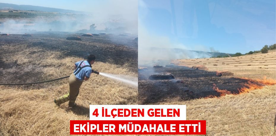 4 ilçeden gelen ekipler müdahale etti