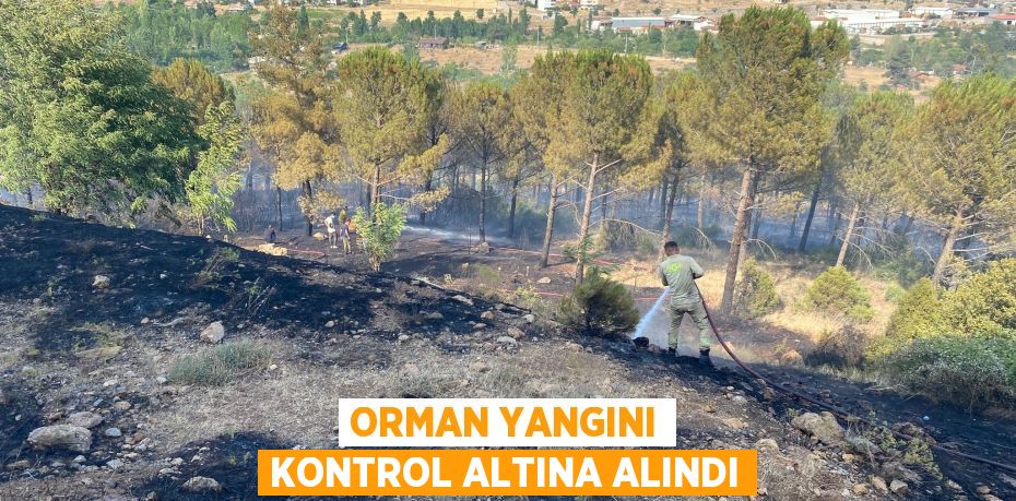 Orman yangını kontrol altına alındı