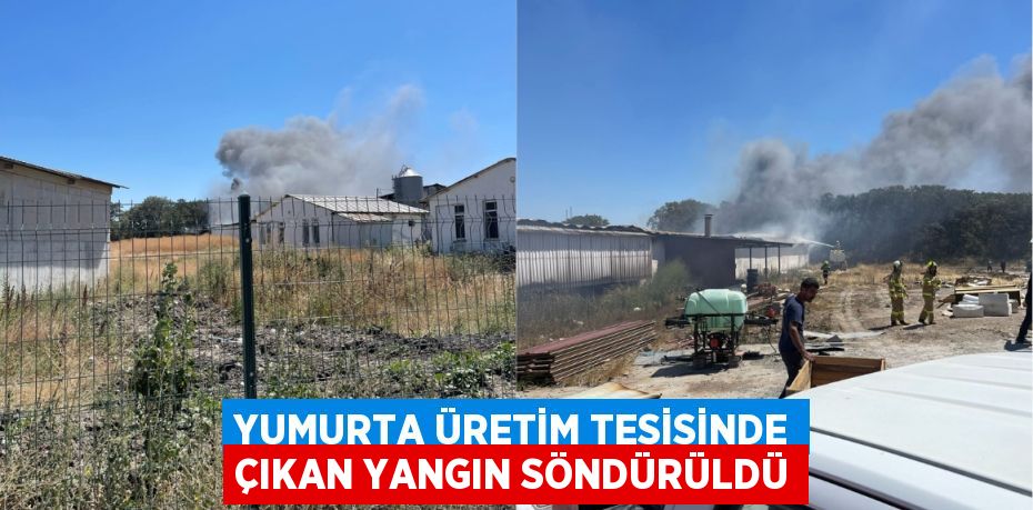 Yumurta üretim tesisinde çıkan yangın söndürüldü