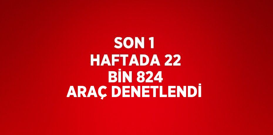 SON 1 HAFTADA 22 BİN 824 ARAÇ DENETLENDİ