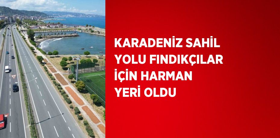 KARADENİZ SAHİL YOLU FINDIKÇILAR İÇİN HARMAN YERİ OLDU