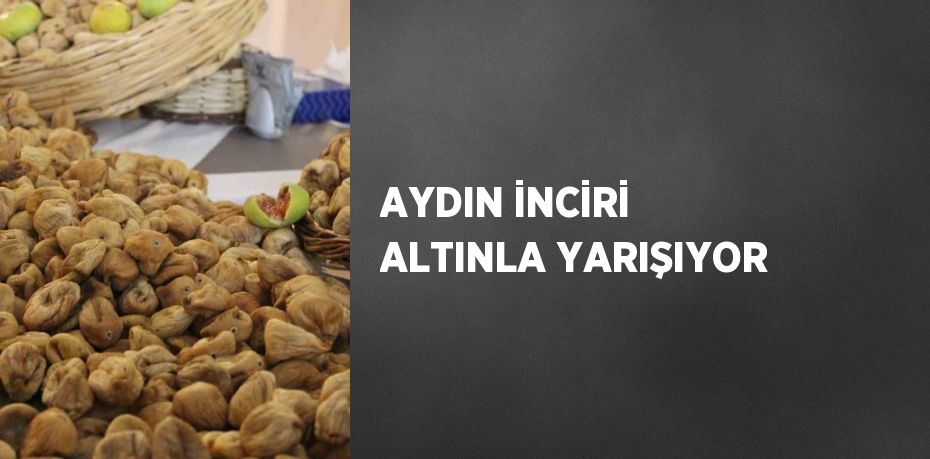 AYDIN İNCİRİ ALTINLA YARIŞIYOR