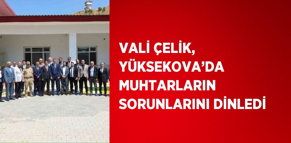 VALİ ÇELİK, YÜKSEKOVA’DA MUHTARLARIN SORUNLARINI DİNLEDİ