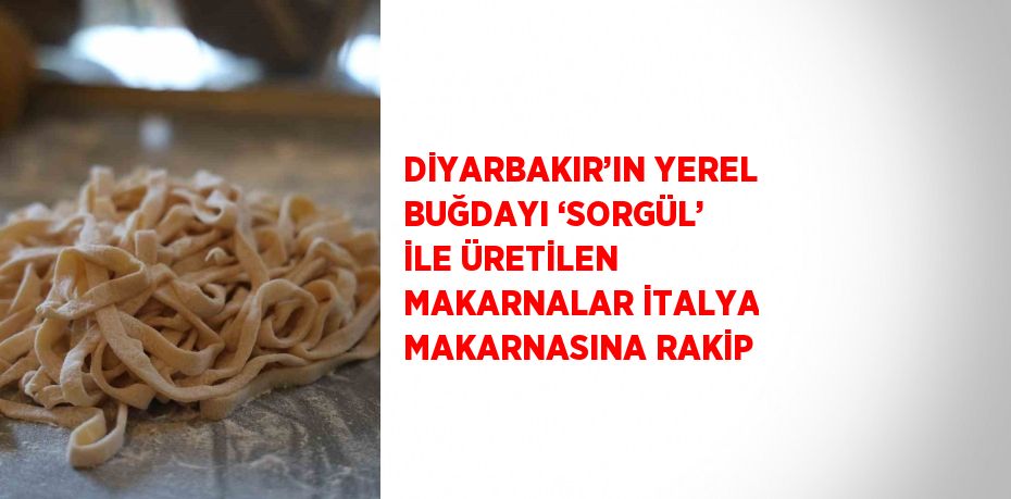 DİYARBAKIR’IN YEREL BUĞDAYI ‘SORGÜL’ İLE ÜRETİLEN MAKARNALAR İTALYA MAKARNASINA RAKİP