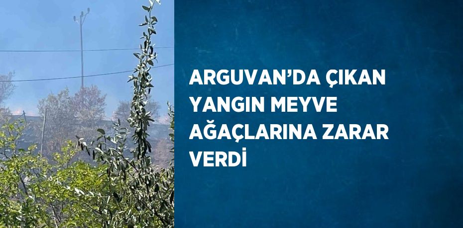 ARGUVAN’DA ÇIKAN YANGIN MEYVE AĞAÇLARINA ZARAR VERDİ