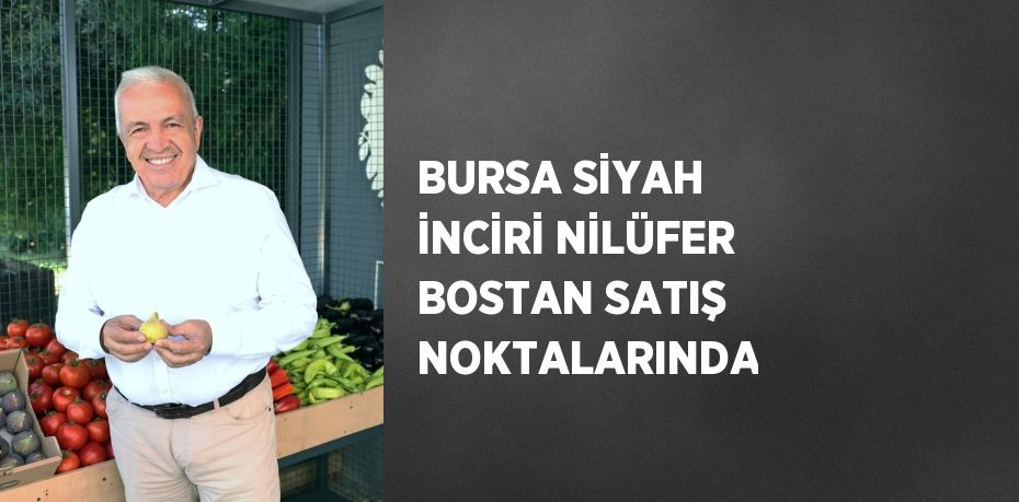 BURSA SİYAH İNCİRİ NİLÜFER BOSTAN SATIŞ NOKTALARINDA