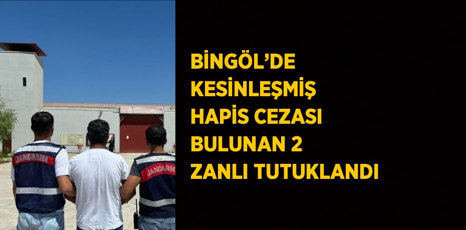 BİNGÖL’DE KESİNLEŞMİŞ HAPİS CEZASI BULUNAN 2 ZANLI TUTUKLANDI